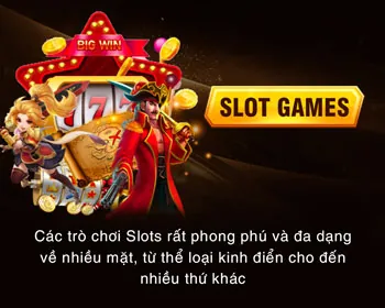 Cán bộ bảo vệ dữ liệu của game winmax